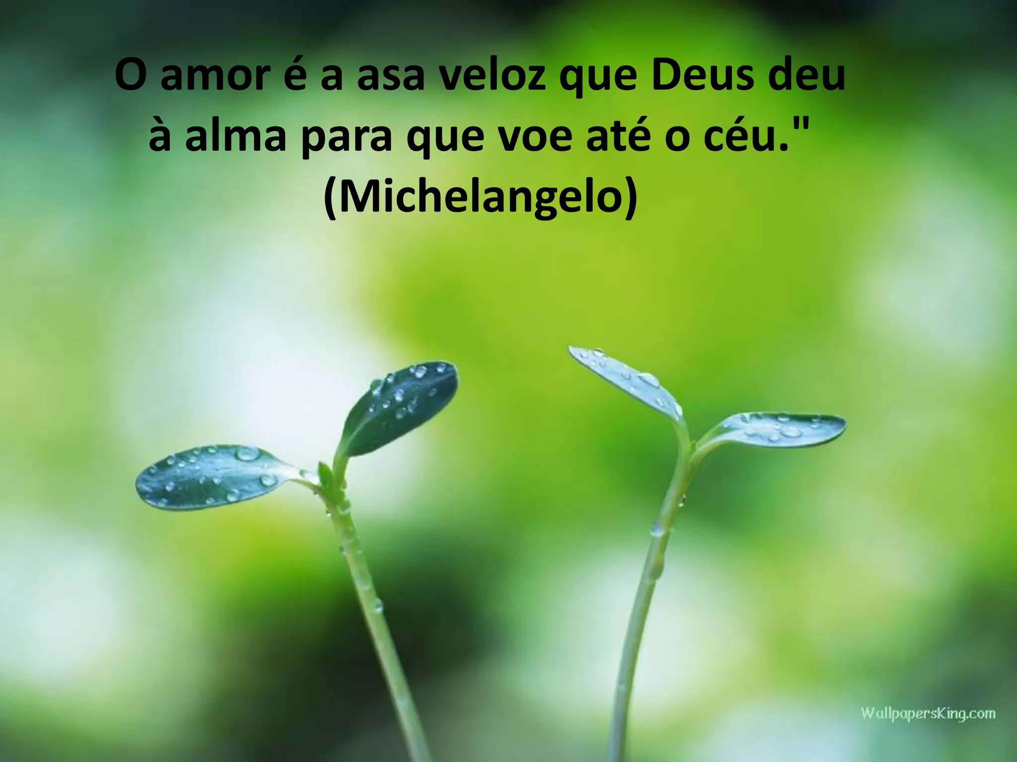O amor é a asa veloz que Deus deu
à alma para que voe até o céu."
(Michelangelo)
