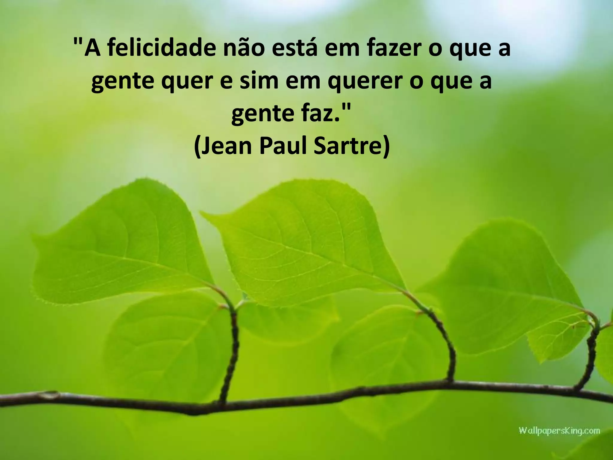 "A felicidade não está em fazer o que a
gente quer e sim em querer o que a
gente faz."
(Jean Paul Sartre)