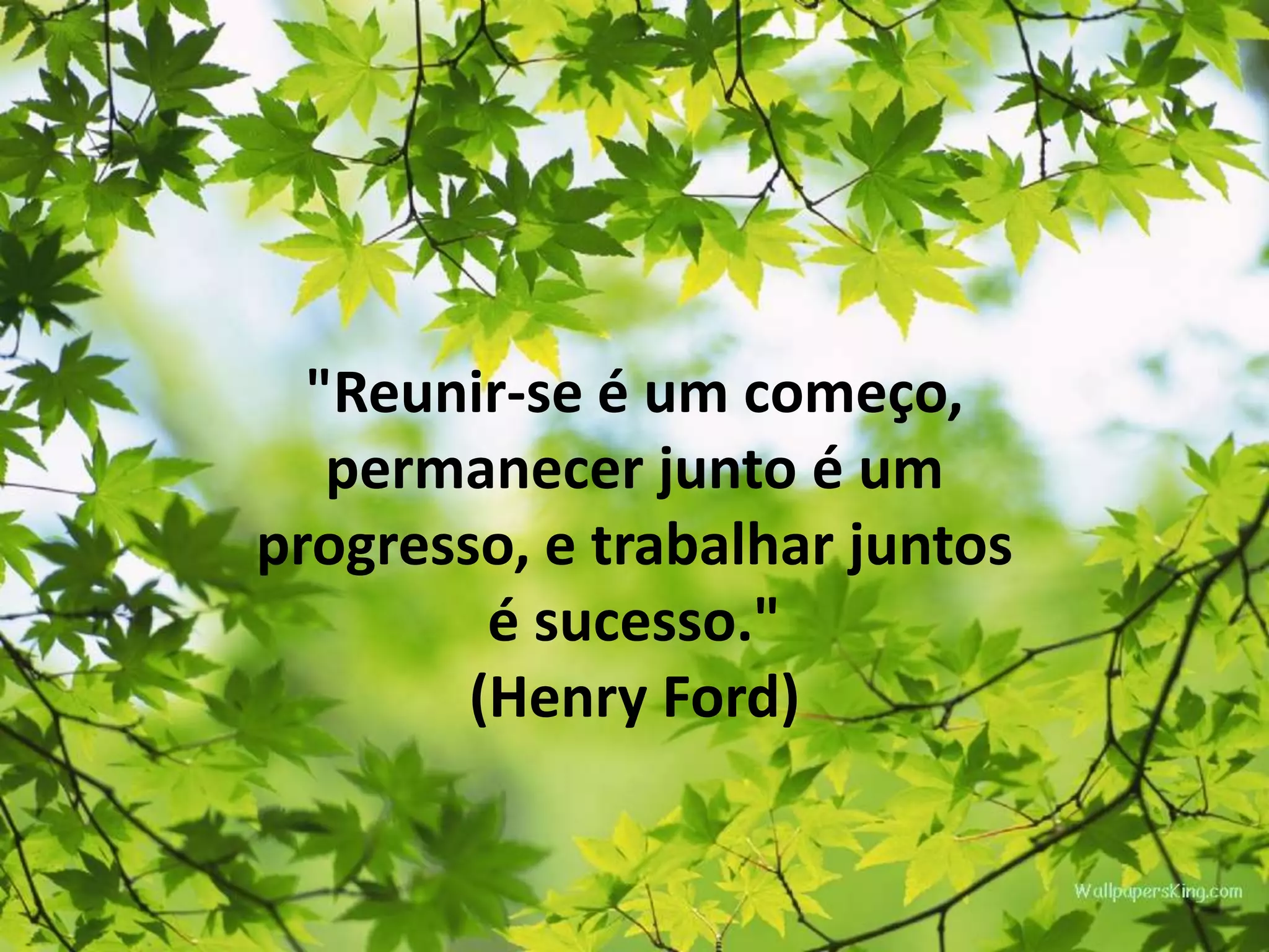 "Reunir-se é um começo,
permanecer junto é um
progresso, e trabalhar juntos
é sucesso."
(Henry Ford)