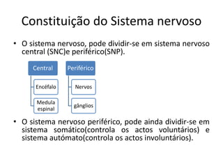 Constituição do Sistema nervoso
• O sistema nervoso, pode dividir-se em sistema nervoso
  central (SNC)e periférico(SNP).
     Central     Periférico

      Encéfalo     Nervos

      Medula
                   gânglios
      espinal

• O sistema nervoso periférico, pode ainda dividir-se em
  sistema somático(controla os actos voluntários) e
  sistema autómato(controla os actos involuntários).
 