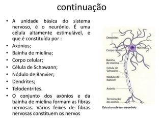 continuação
• A unidade básica do sistema
  nervoso, é o neurónio. É uma
  célula altamente estimulável, e
  que é constituída por :
• Axónios;
• Bainha de mielina;
• Corpo celular;
• Célula de Schawann;
• Nódulo de Ranvier;
• Dendrites;
• Telodentrites.
• O conjunto dos axónios e da
  bainha de mielina formam as fibras
  nervosas. Vários feixes de fibras    Estrutura de um neurónio

  nervosas constituem os nervos
 