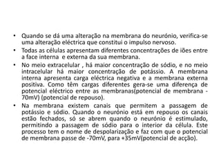 • Quando se dá uma alteração na membrana do neurónio, verifica-se
  uma alteração eléctrica que constitui o impulso nervoso.
• Todas as células apresentam diferentes concentrações de iões entre
  a face interna e externa da sua membrana.
• No meio extracelular , há maior concentração de sódio, e no meio
  intracelular há maior concentração de potássio. A membrana
  interna apresenta carga eléctrica negativa e a membrana externa
  positiva. Como têm cargas diferentes gera-se uma diferença de
  potencial eléctrico entre as membranas(potencial de membrana -
  70mV) (potencial de repouso).
• Na membrana existem canais que permitem a passagem de
  potássio e sódio. Quando o neurónio está em repouso os canais
  estão fechados, só se abrem quando o neurónio é estimulado,
  permitindo a passagem de sódio para o interior da célula. Este
  processo tem o nome de despolarização e faz com que o potencial
  de membrana passe de -70mV, para +35mV(potencial de acção).
 
