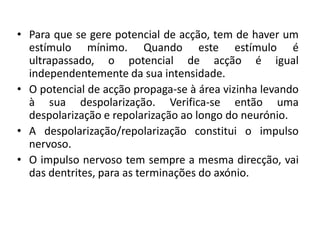 • Para que se gere potencial de acção, tem de haver um
  estímulo mínimo. Quando este estímulo é
  ultrapassado, o potencial de acção é igual
  independentemente da sua intensidade.
• O potencial de acção propaga-se à área vizinha levando
  à sua despolarização. Verifica-se então uma
  despolarização e repolarização ao longo do neurónio.
• A despolarização/repolarização constitui o impulso
  nervoso.
• O impulso nervoso tem sempre a mesma direcção, vai
  das dentrites, para as terminações do axónio.
 