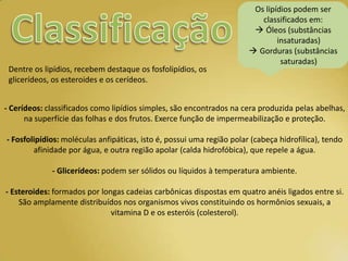 Os lipídios podem ser
                                                                          classificados em:
                                                                         Óleos (substâncias
                                                                               insaturadas)
                                                                        Gorduras (substâncias
                                                                                saturadas)
 Dentre os lipídios, recebem destaque os fosfolipídios, os
 glicerídeos, os esteroides e os cerídeos.


- Cerídeos: classificados como lipídios simples, são encontrados na cera produzida pelas abelhas,
      na superfície das folhas e dos frutos. Exerce função de impermeabilização e proteção.

- Fosfolipídios: moléculas anfipáticas, isto é, possui uma região polar (cabeça hidrofílica), tendo
        afinidade por água, e outra região apolar (calda hidrofóbica), que repele a água.

             - Glicerídeos: podem ser sólidos ou líquidos à temperatura ambiente.

- Esteroides: formados por longas cadeias carbônicas dispostas em quatro anéis ligados entre si.
    São amplamente distribuídos nos organismos vivos constituindo os hormônios sexuais, a
                              vitamina D e os esteróis (colesterol).
 