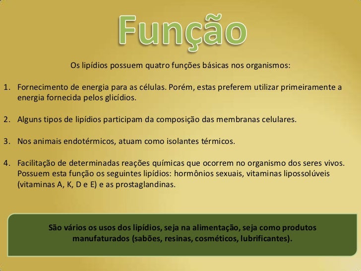 Dois Tipos De Lipídios Contidos No Organismo Humano