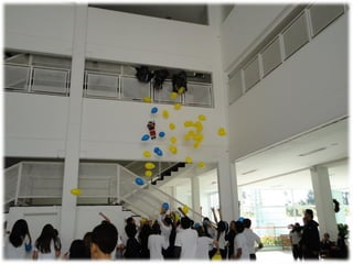 Campanha Maria Theodora