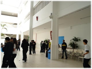 Campanha Maria Theodora