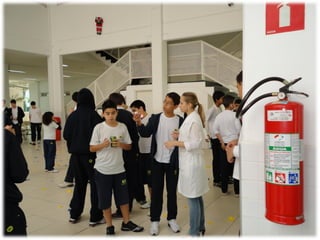 Campanha Maria Theodora