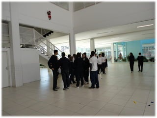 Campanha Maria Theodora