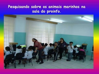 Animais do mar