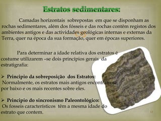 Camadas horizontais sobrepostas em que se disponham as
rochas sedimentares, além dos fósseis e das rochas contêm registos dos
                                  
ambientes antigos e das actividades geológicas internas e externas da
Terra, quer na época da sua formação, quer em épocas superiores.

        Para determinar a idade relativa dos estratos é
costume utilizarem –se dois princípios gerais da
estratigrafia:

 Principio da sobreposição dos Estratos:
Normalmente, os estratos mais antigos encontram-se
por baixo e os mais recentes sobre eles.

 Principio do sincronismo Paleontológico:
 Os fosseis característicos têm a mesma idade do
estrato que contem.                                                12
 