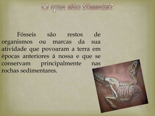 Fósseis   são    restos   de
organismos ou marcas da sua
atividade que povoaram a terra em
épocas anteriores á nossa e que se
conservam     principalmente   nas
rochas sedimentares.




                                     3
 