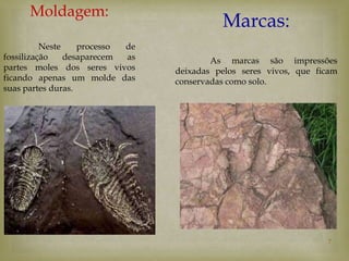 Moldagem:
                                           Marcas:
          Neste    processo de
fossilização    desaparecem as           As marcas são impressões
partes moles dos seres vivos     deixadas pelos seres vivos, que ficam
ficando apenas um molde das      conservadas como solo.
suas partes duras.




                                                                   7
 