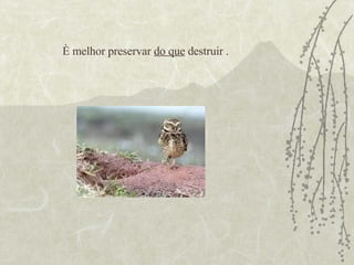 È melhor preservar  do que  destruir . 