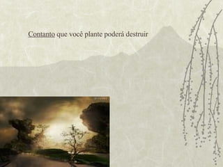 Contanto  que você plante poderá destruir  