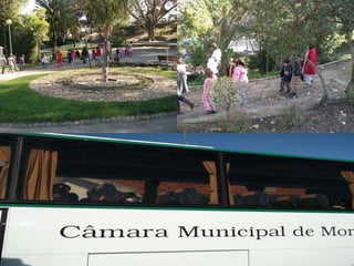 Horta Comum - EB1 Pavia