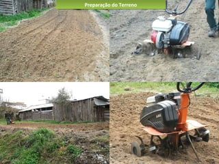 Preparação do TerrenoPreparação do Terreno
 