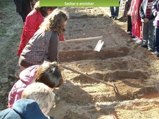Sachar e ancinharSachar e ancinhar
 