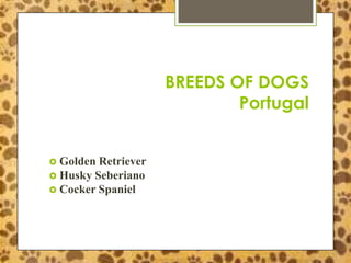 BREEDS OF DOGS
                             Portugal


 Golden Retriever
 Husky Seberiano
 Cocker Spaniel
 