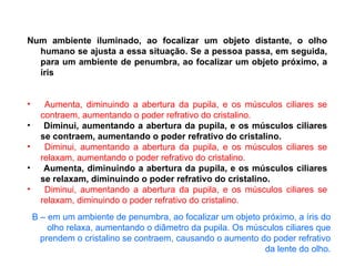 Num ambiente iluminado, ao focalizar um objeto distante, o olho humano se ajusta a essa situação. Se a pessoa passa, em seguida, para um ambiente de penumbra, ao focalizar um objeto próximo, a íris Aumenta, diminuindo a abertura da pupila, e os músculos ciliares se contraem, aumentando o poder refrativo do cristalino. Diminui, aumentando a abertura da pupila, e os músculos ciliares se contraem, aumentando o poder refrativo do cristalino. Diminui, aumentando a abertura da pupila, e os músculos ciliares se relaxam, aumentando o poder refrativo do cristalino. Aumenta, diminuindo a abertura da pupila, e os músculos ciliares se relaxam, diminuindo o poder refrativo do cristalino. Diminui, aumentando a abertura da pupila, e os músculos ciliares se relaxam, diminuindo o poder refrativo do cristalino. B – em um ambiente de penumbra, ao focalizar um objeto próximo, a íris do olho relaxa, aumentando o diâmetro da pupila. Os músculos ciliares que prendem o cristalino se contraem, causando o aumento do poder refrativo da lente do olho. 