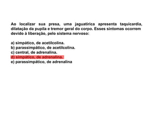 Ao localizar sua presa, uma jaguatirica apresenta taquicardia, dilatação da pupila e tremor geral do corpo. Esses sintomas ocorrem devido à liberação, pelo sistema nervoso: a) simpático, de acetilcolina. b) parassimpático, de acetilcolina. c) central, de adrenalina. d) simpático, de adrenalina. e) parassimpático, de adrenalina 