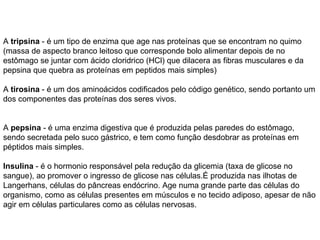 A  tripsina  - é um tipo de enzima que age nas proteínas que se encontram no quimo (massa de aspecto branco leitoso que corresponde bolo alimentar depois de no estômago se juntar com ácido cloridrico (HCl) que dilacera as fibras musculares e da pepsina que quebra as proteínas em peptidos mais simples) A  tirosina  - é um dos aminoácidos codificados pelo código genético, sendo portanto um dos componentes das proteínas dos seres vivos.  A  pepsina  - é uma enzima digestiva que é produzida pelas paredes do estômago, sendo secretada pelo suco gástrico, e tem como função desdobrar as proteínas em péptidos mais simples. Insulina  - é o hormonio responsável pela redução da glicemia (taxa de glicose no sangue), ao promover o ingresso de glicose nas células.É produzida nas ilhotas de Langerhans, células do pâncreas endócrino. Age numa grande parte das células do organismo, como as células presentes em músculos e no tecido adiposo, apesar de não agir em células particulares como as células nervosas. 