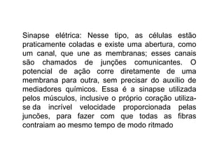 Sinapse elétrica: Nesse tipo, as células estão praticamente coladas e existe uma abertura, como um canal, que une as membranas; esses canais são chamados de junções comunicantes. O potencial de ação corre diretamente de uma membrana para outra, sem precisar do auxílio de mediadores químicos. Essa é a sinapse utilizada pelos músculos, inclusive o próprio coração utiliza-se da incrível velocidade proporcionada pelas juncões, para fazer com que todas as fibras contraiam ao mesmo tempo de modo ritmado   