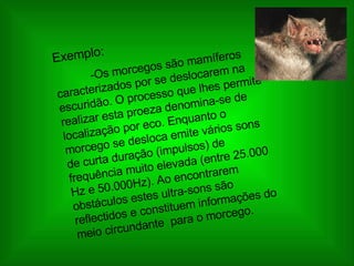 Exemplo: -Os morcegos são mamíferos caracterizados por se deslocarem na escuridão. O processo que lhes permite realizar esta proeza denomina-se de localização por eco. Enquanto o morcego se desloca emite vários sons de curta duração (impulsos) de frequência muito elevada (entre 25.000 Hz e 50.000Hz). Ao encontrarem obstáculos estes ultra-sons são reflectidos e constituem informações do meio circundante  para o morcego. 