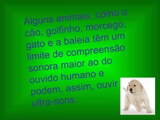Alguns animais, como o cão, golfinho, morcego, gato e a baleia têm um limite de compreensão sonora maior ao do ouvido humano e podem, assim, ouvir ultra-sons.   