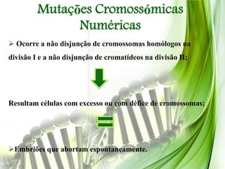 Mutações Cromossómicas
               Numéricas
 Ocorre a não disjunção de cromossomas homólogos na
divisão I e a não disjunção de cromatídeos na divisão II;




Resultam células com excesso ou com défice de cromossomas;




Embriões que abortam espontaneamente.
 