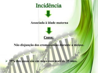 Incidência

                Associada à idade materna



                         Causa:

     Não disjunção dos cromossomas durante a meiose.



 35% dos casos são em mães com mais de 35 anos.
 