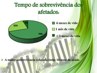 Tempo de sobrevivência dos
                 afetados:
                 5%                    6 meses de vida
        25%
                                       1 mês de vida
                          70%
                                       + 3 meses de vida




 A maior sobrevivência relatada tinha 10 anos de idade..
 