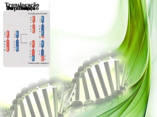 Translocação
Duplicação
 Inversão
     Deleção
 
