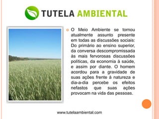    O Meio Ambiente se tornou
        atualmente assunto presente
        em todas as discussões sociais:
        Do primário ao ensino superior,
        da conversa descompromissada
        às mais fervorosas discussões
        políticas, da economia à saúde,
        e assim por diante. O homem
        acordou para a gravidade de
        suas ações frente à natureza e
        dia-a-dia percebe os efeitos
        nefastos que suas ações
        provocam na vida das pessoas.



www.tutelaambiental.com
 