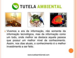    Vivemos a era da informação, não somente da
    informação tecnológica, mas da informação como
    um todo, onde melhor se destaca aquela pessoa
    que possuí um melhor nível de conhecimento.
    Assim, nos dias atuais, o conhecimento é o melhor
    investimento a ser feito.


                     www.tutelaambiental.com
 