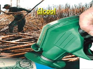 álcool
 