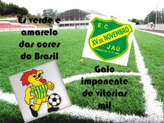 És verde e
 amarelo
das cores
do Brasil
               Galo
             imponente
             de vitórias
                 mil
 