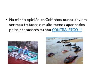 • Na minha opinião os Golfinhos nunca deviam
  ser mau tratados e muito menos apanhados
  pelos pescadores eu sou CONTRA ISTOO !!
 