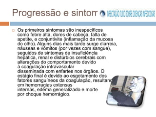 Progressão e sintomas
   Os primeiros sintomas são inespecíficos
    como febre alta, dores de cabeça, falta de
    apetite, e conjuntivite (inflamação da mucosa
    do olho). Alguns dias mais tarde surge diarreia,
    náuseas e vômitos (por vezes com sangue),
    seguidos de sintomas de insuficiência
    hepática, renal e distúrbios cerebrais com
    alterações do comportamento devido
    à coagulação intravascular
    disseminada com enfartes nos órgãos. O
    estágio final é devido ao esgotamento dos
    fatores sanguíneos da coagulação, resultando
    em hemorragias extensas
    internas, edema generalizado e morte
    por choque hemorrágico.
 