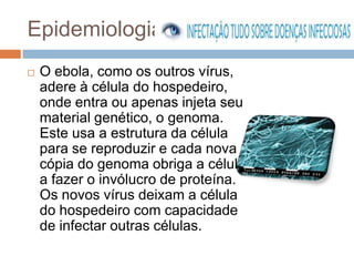 Epidemiologia
   O ebola, como os outros vírus,
    adere à célula do hospedeiro,
    onde entra ou apenas injeta seu
    material genético, o genoma.
    Este usa a estrutura da célula
    para se reproduzir e cada nova
    cópia do genoma obriga a célula
    a fazer o invólucro de proteína.
    Os novos vírus deixam a célula
    do hospedeiro com capacidade
    de infectar outras células.
 