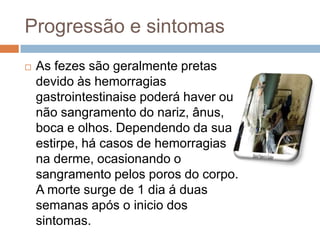 Progressão e sintomas
   As fezes são geralmente pretas
    devido às hemorragias
    gastrointestinaise poderá haver ou
    não sangramento do nariz, ânus,
    boca e olhos. Dependendo da sua
    estirpe, há casos de hemorragias
    na derme, ocasionando o
    sangramento pelos poros do corpo.
    A morte surge de 1 dia á duas
    semanas após o inicio dos
    sintomas.
 