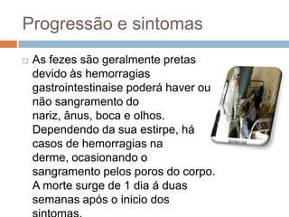 Progressão e sintomas
   As fezes são geralmente pretas
    devido às hemorragias
    gastrointestinaise poderá haver ou
    não sangramento do
    nariz, ânus, boca e olhos.
    Dependendo da sua estirpe, há
    casos de hemorragias na
    derme, ocasionando o
    sangramento pelos poros do corpo.
    A morte surge de 1 dia á duas
    semanas após o inicio dos
 