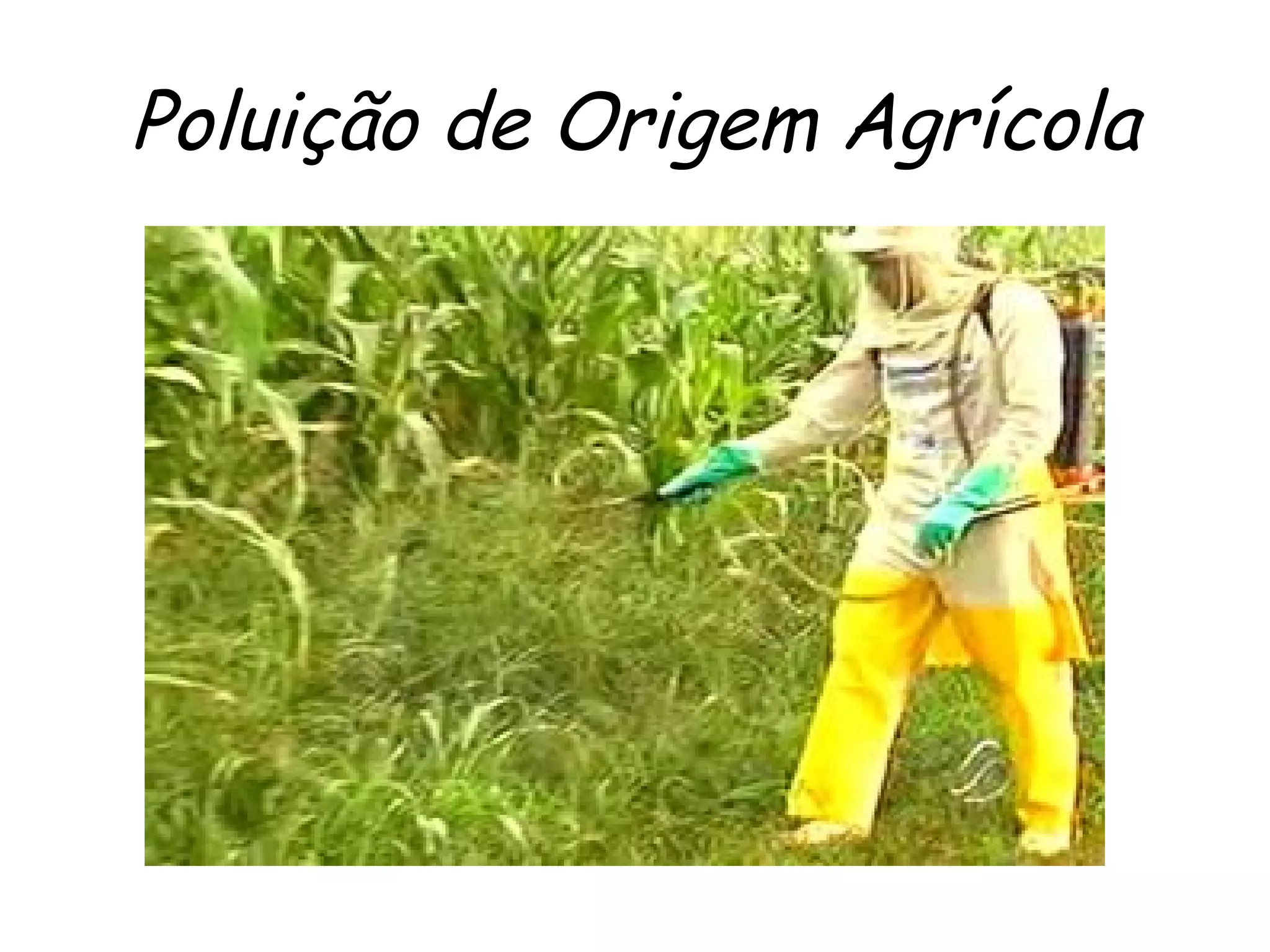 Poluição de Origem Agrícola
 