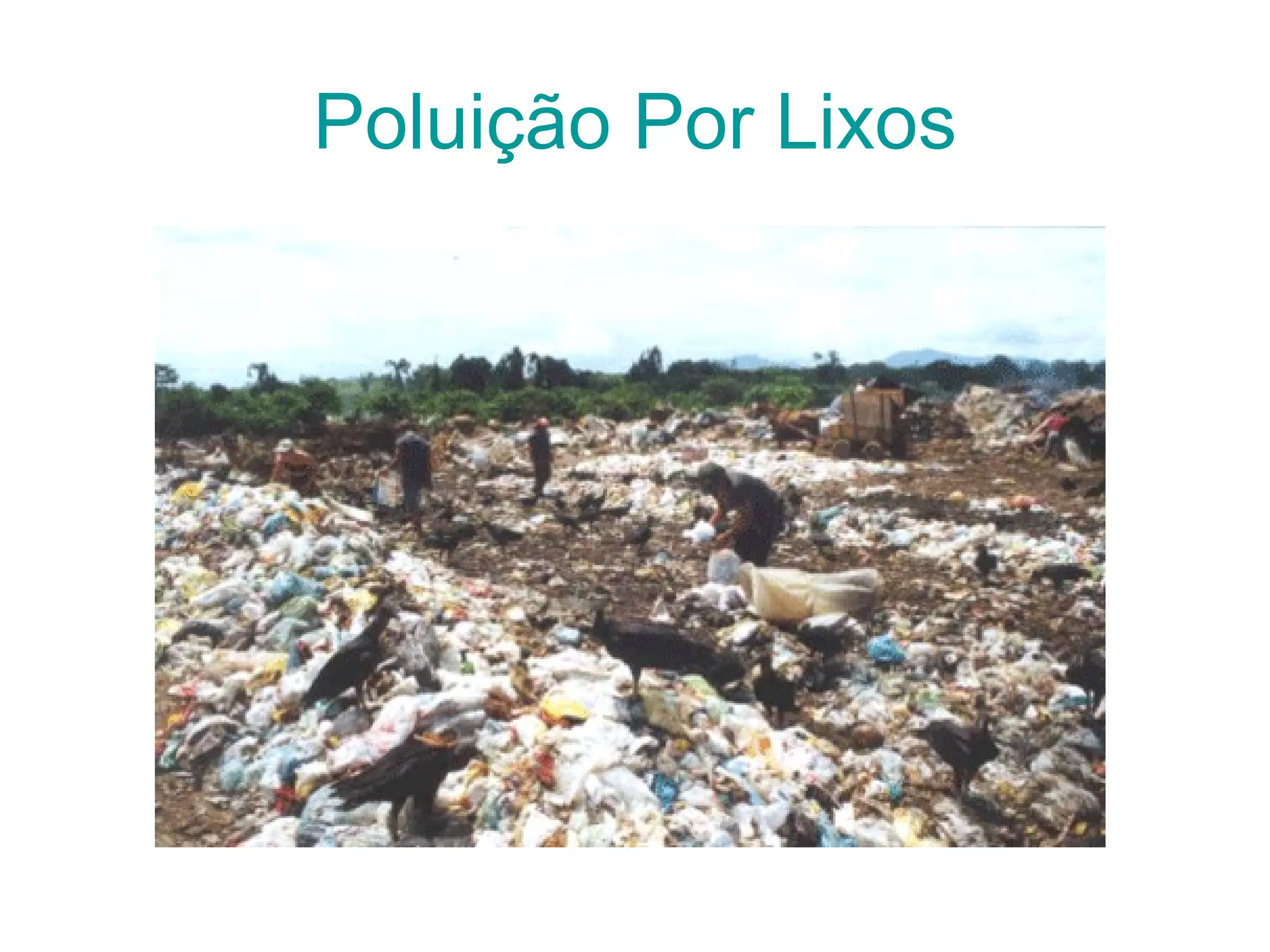 Poluição Por Lixos
 