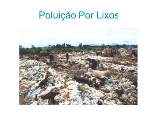 Poluição Por Lixos
 