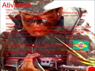 Atividade
 CAÇA
 • É a principal atividade do Exército, é bem simples, o detetive nível 5 leva +3
 consigo, procura um ID de um GI/FARC e vai mata-lo, assim mantendo San
 Andreas segura e evitando possíveis sequestros.

 RONDA
 • Raramente feita, é somente feita quando todos que estejam no carro não sejam
 detetives nível 5, é diferente da caça mas é parecido, sair rondando as ruas de
 San Andreas, vasculhando pontos de tráficos com base nas denúncias de
 players a procura de terroristas. E quando vir algum ir atrás dele.

 Guerra
 • É a principal luta entre Exército, FARC e GI. Deve ser criada apenas por C5+
 com permissão superior e somente quando tem 4 ou mais membros online,
 somente pode ser criada em locais desérticos, longe das metrópoles (Ex:
 Hidrelétrica, Indústria LV, Pedreira etc.). Após 2 horas de guerra, caso perceba
 que está em maioria na mesma peça permissão e dê /finalizarguerra.
 É permitido o uso de Hydras e Hunters, obviamente que apenas cargos e
 subdivisões autorizadas podem pega-los. Veja algumas regras importantes disto
 aqui.
 