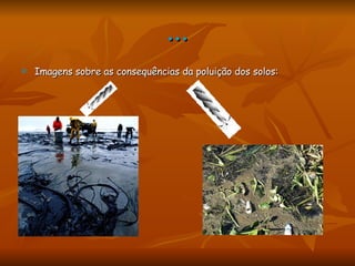… Imagens sobre as consequências da poluição dos solos: 
