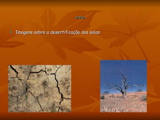 … Imagens sobre a desertificação dos solos: 