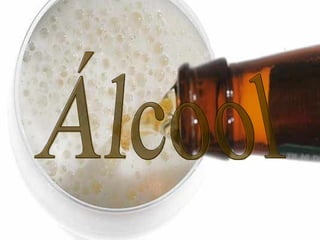 Álcool 