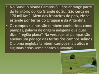 • No Brasil, o bioma Campos Sulinos abrange parte
  do território do Rio Grande do Sul. São cerca de
  170 mil Km2. Além das fronteiras do país, ele se
  estende por terras do Uruguai e da Argentina.
• Os campos sulinos são também conhecidos como
  pampas, palavra de origem indígena que quer
  dizer “região plana”. Na verdade, os pampas são
  apenas um pedaço das terras dos campos sulinos.
  O bioma engloba também campos mais altos e
  algumas áreas semelhantes a savanas.
 
